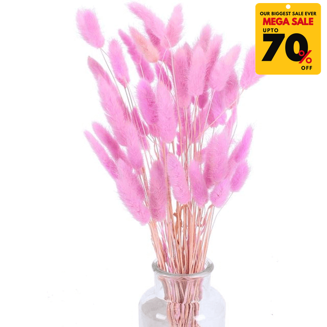 Natural Dried Fluffy Bunny Tails - SC 44