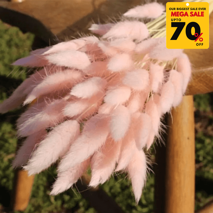 Natural Dried Fluffy Bunny Tails - SC 49