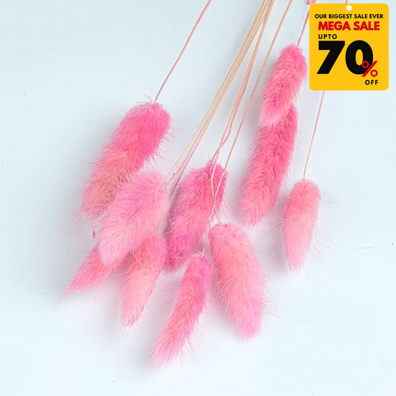 Natural Dried Fluffy Bunny Tails - SC 42