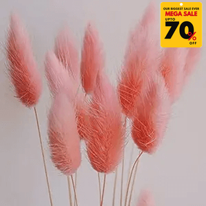 Natural Dried Fluffy Bunny Tails - SC 43