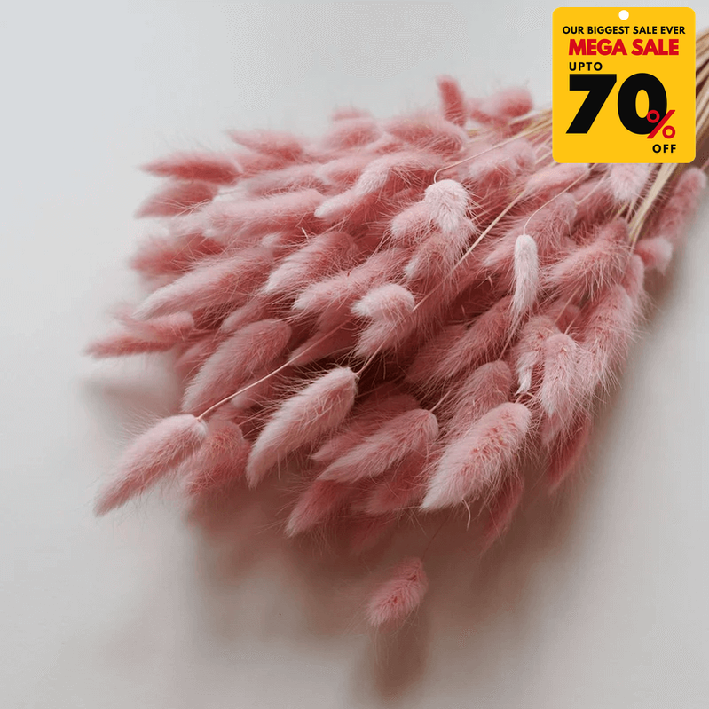 Natural Dried Fluffy Bunny Tails - SC 39