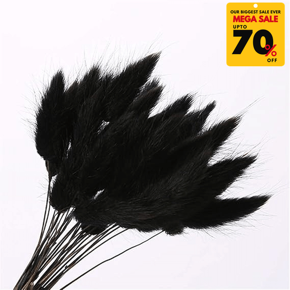 Natural Dried Fluffy Bunny Tails - SC Black