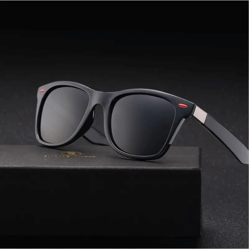 Classic Wayfarer Sunglasses - Matte Black