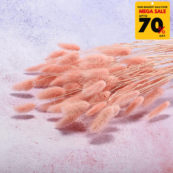 Natural Dried Fluffy Bunny Tails - SC 43
