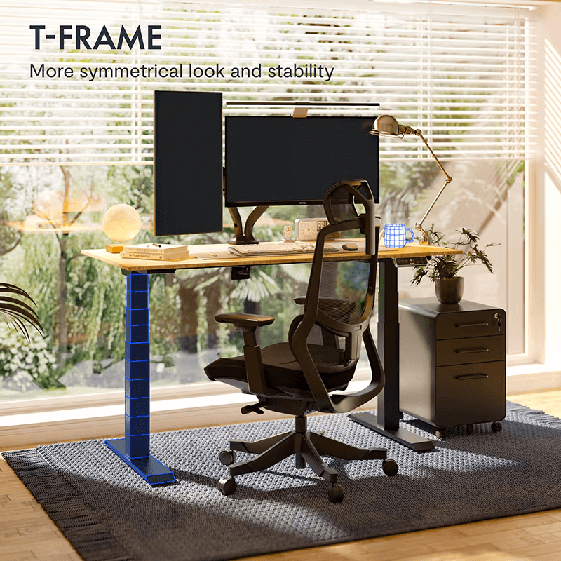 FlexiSpot E7 - Dual Motor Premium Standing Desk With Black Frame - Pure Frost
