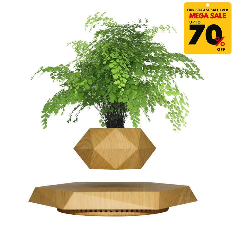floating pot plant