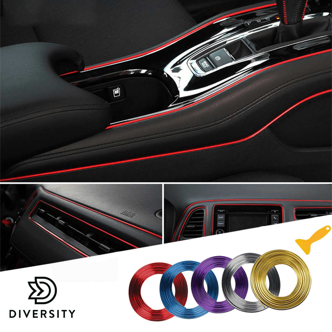 Car Interior Trim Strip - DIVERSITY