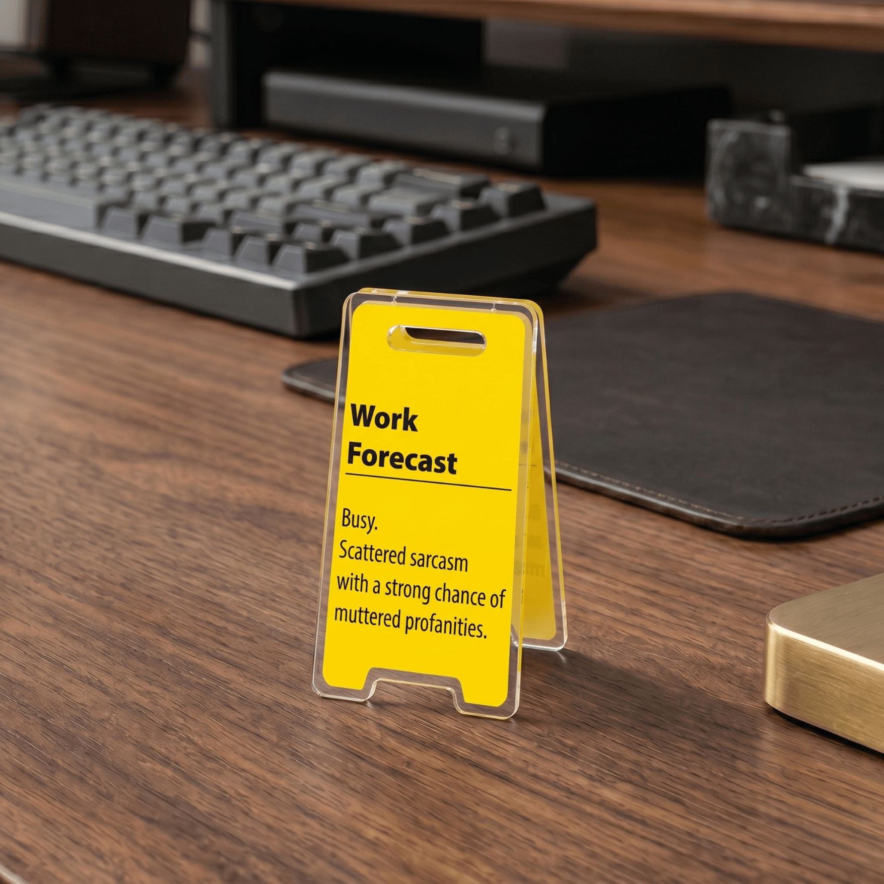 Funny Acrylic Desktop Signs