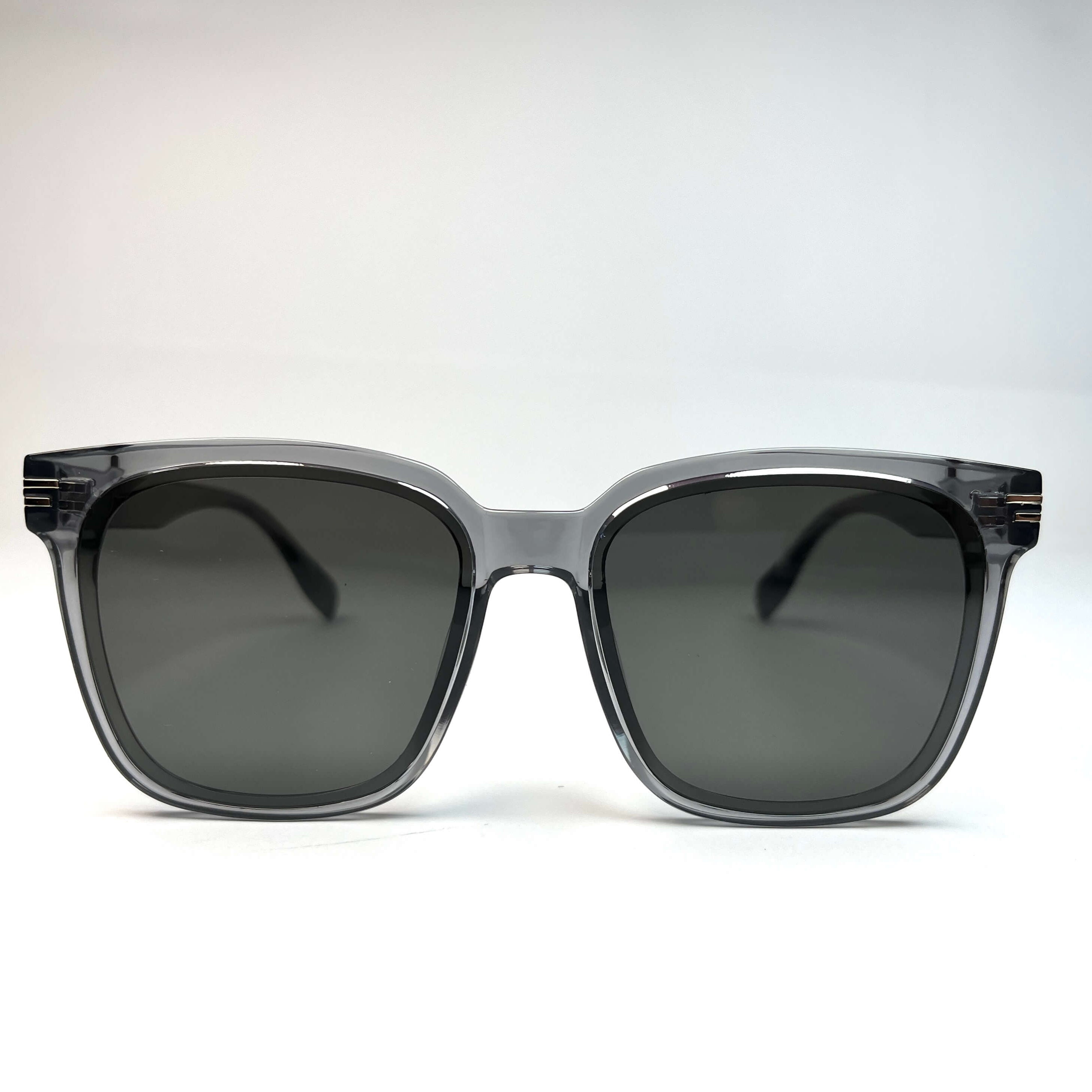HALO Wayfarer Sunglasses - Transparent Grey