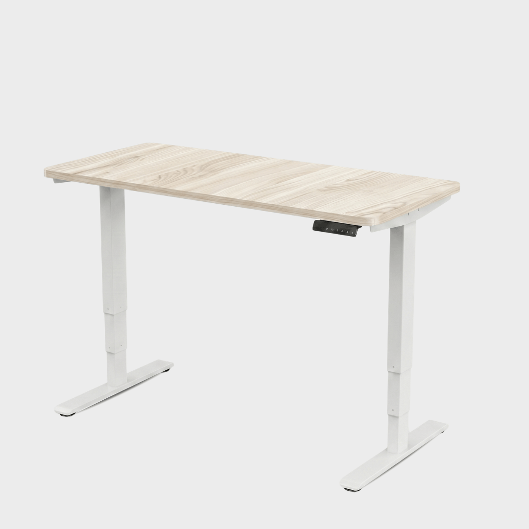 FlexiSpot E5 Lite - Dual Motor 3-Stage Standing Desk