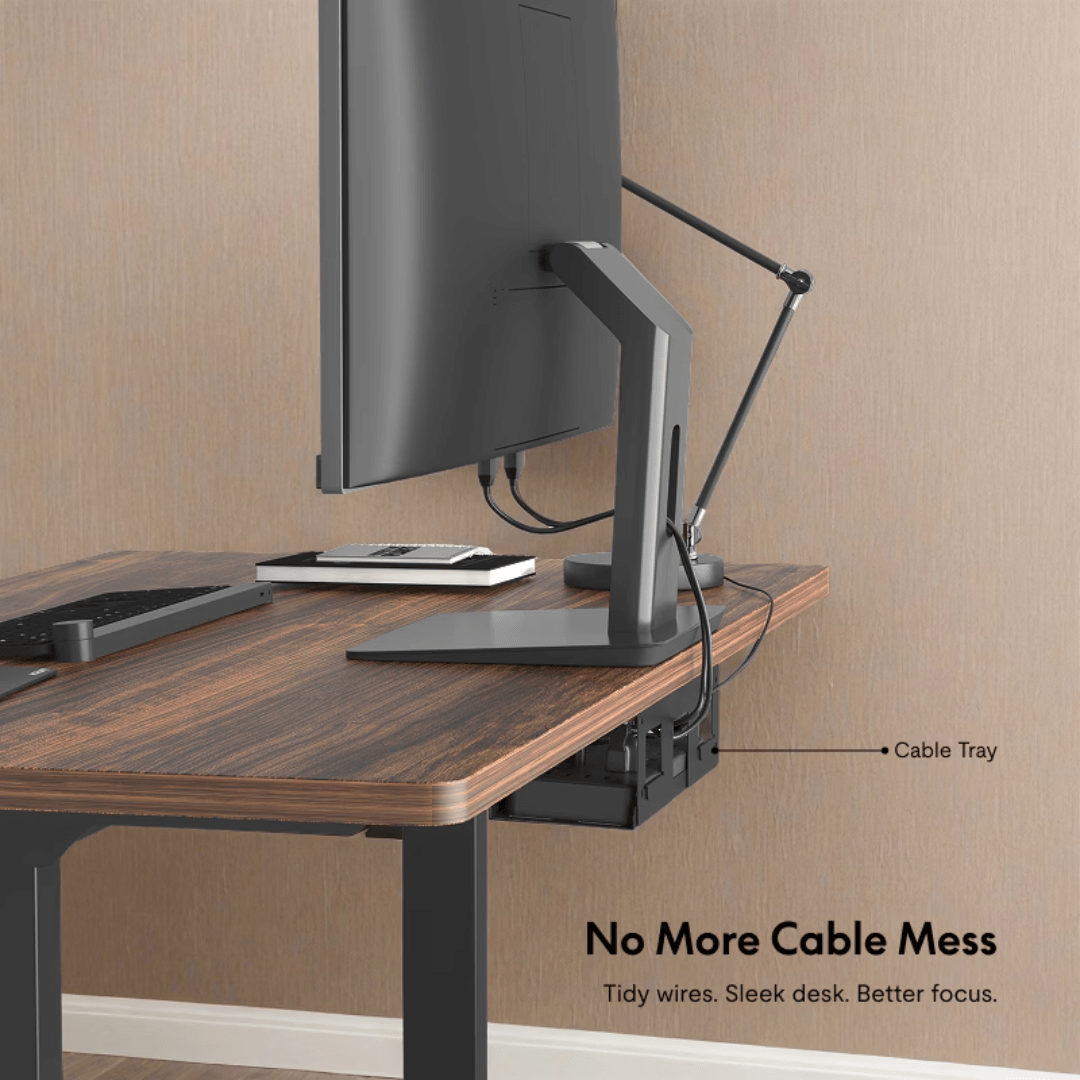 FlexiSpot E5 - Dual Motor 3-Stage Standing Desk