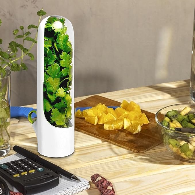 Minor Fault - Herb Storage Container