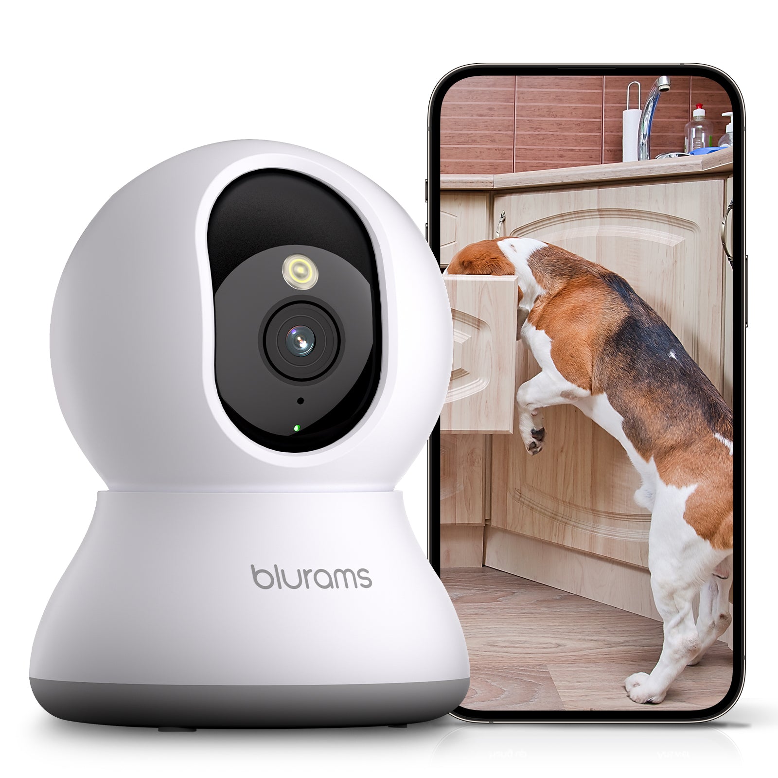 Blurams Dome Flare 360° Security Camera