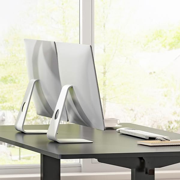 FlexiSpot EN1 - Standing Desk With Black Frame
