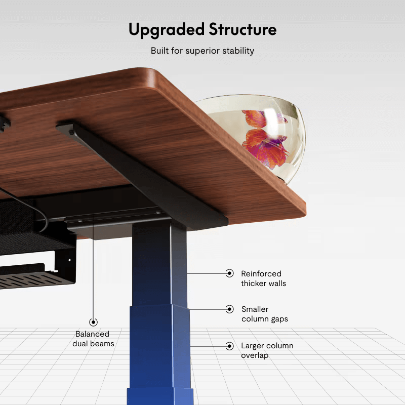 Flexispot E7 Pro - Dual Motor Premium Standing Desk