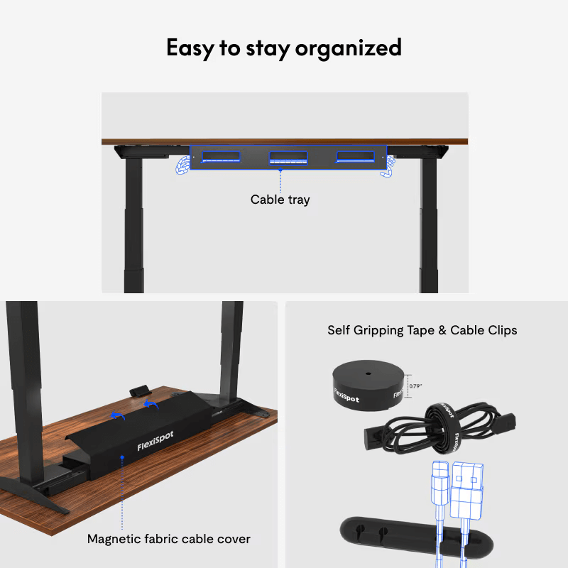Flexispot E7 Pro - Dual Motor Premium Standing Desk
