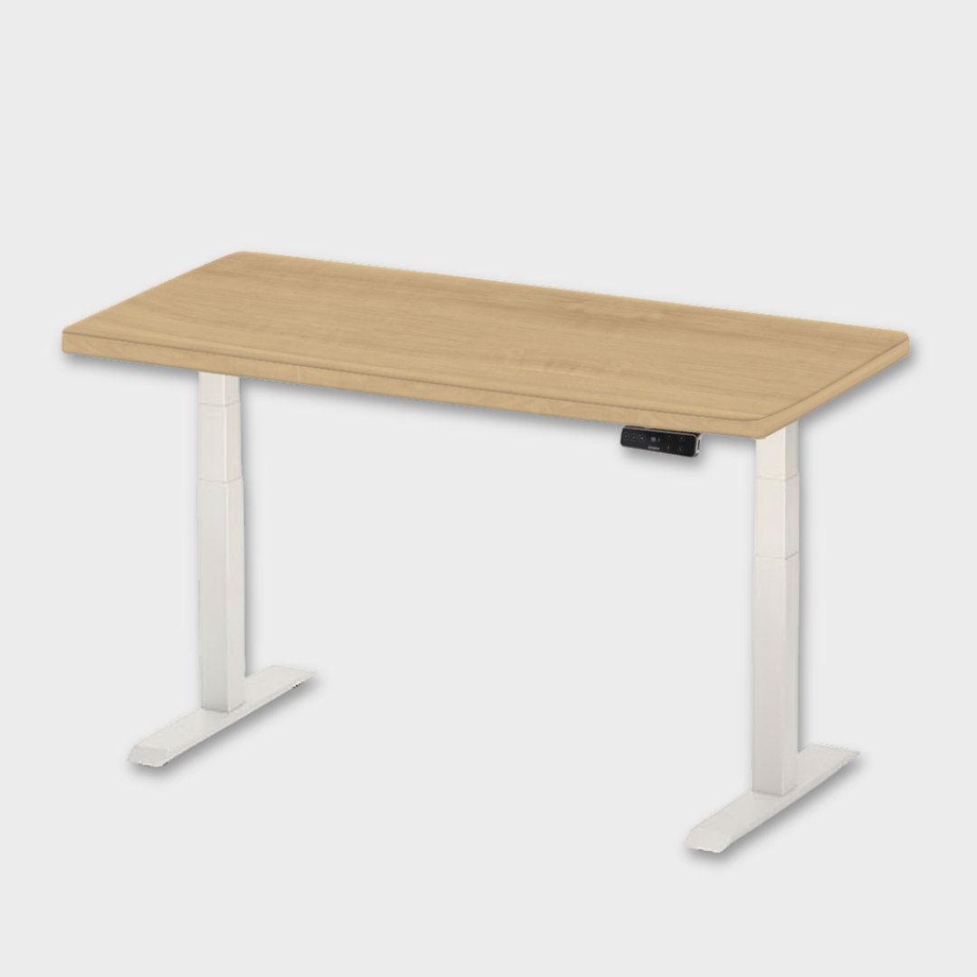 FlexiSpot E7 - Dual Motor Premium Standing Desk