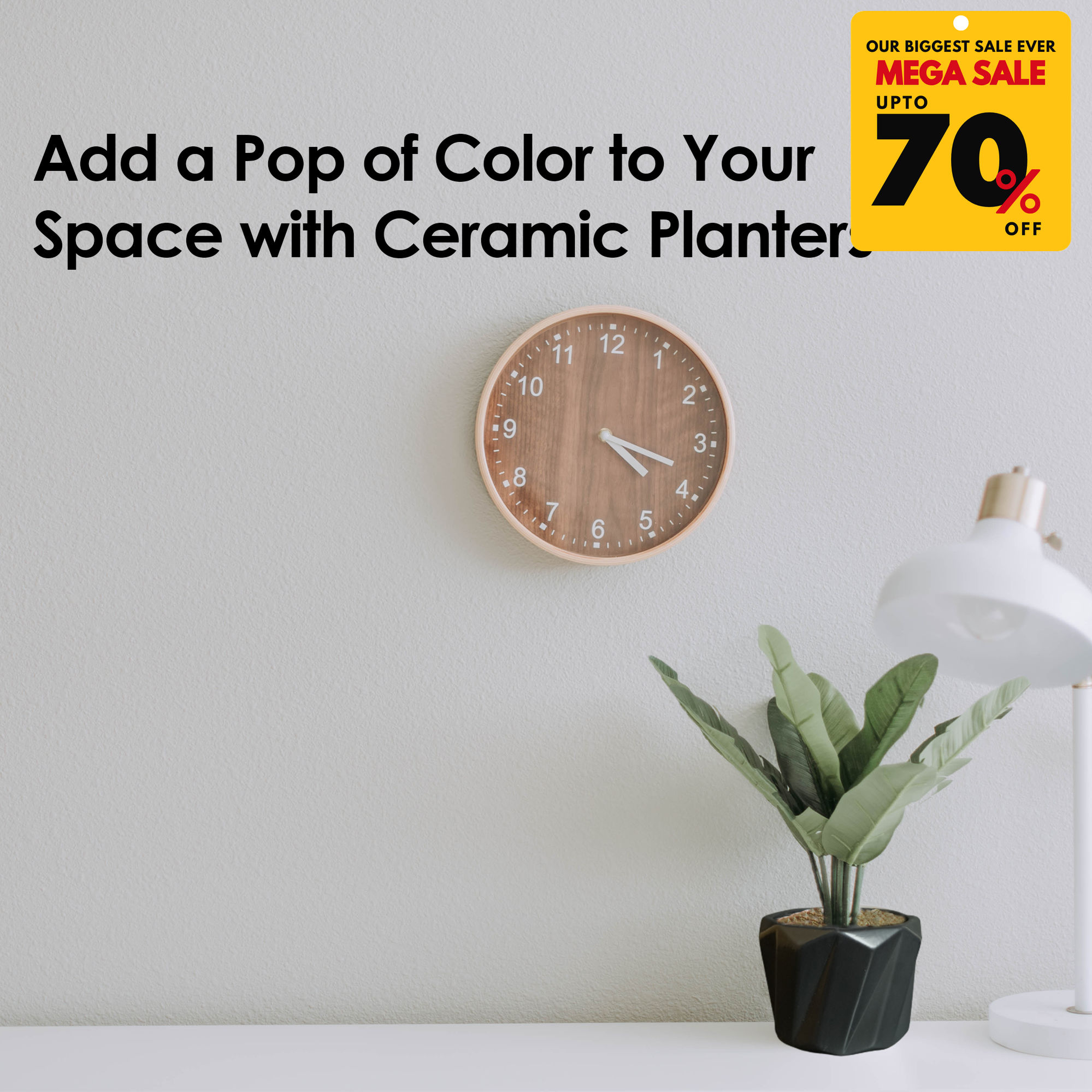 Ceramic Planter Pots-DIVERSITY