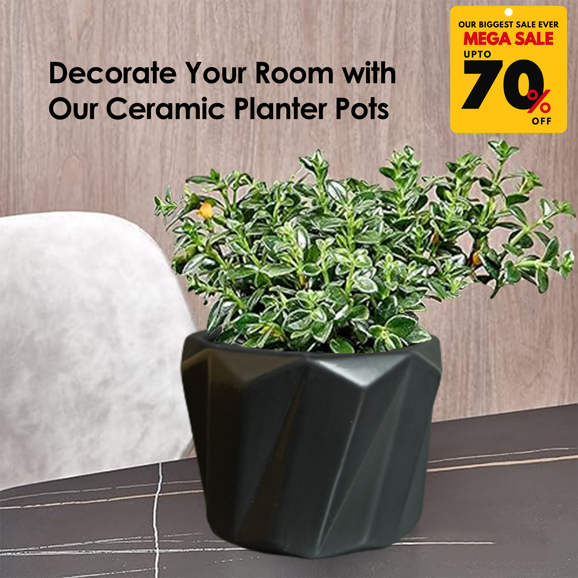 Ceramic Planter Pots-DIVERSITY