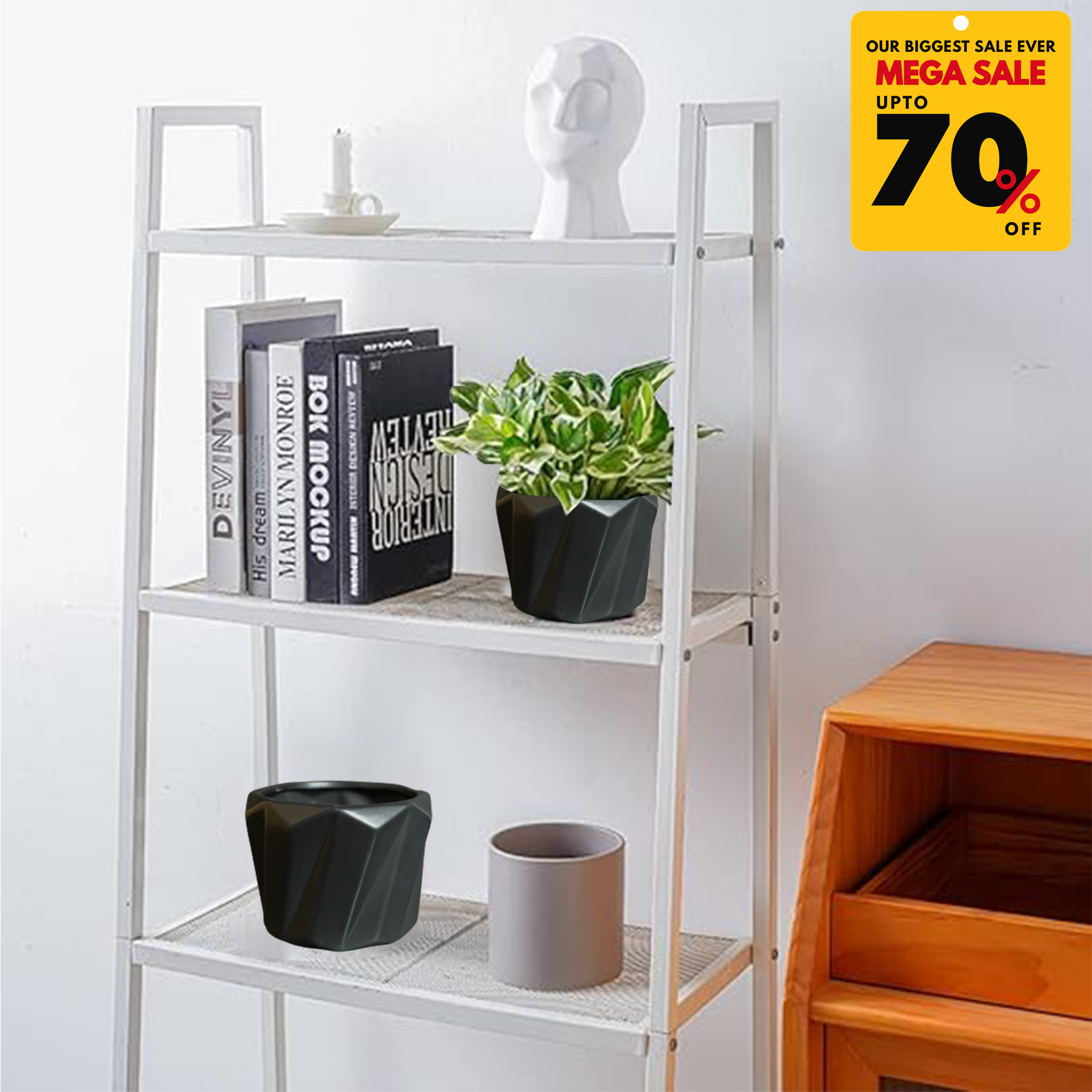 Ceramic Planter Pots-DIVERSITY