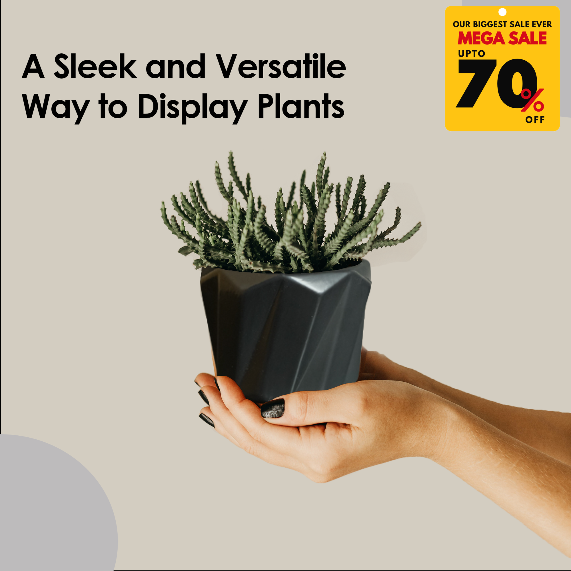 Ceramic Planter Pots-DIVERSITY