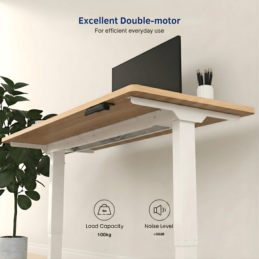 FlexiSpot E5 Lite - Dual Motor 3-Stage Standing Desk