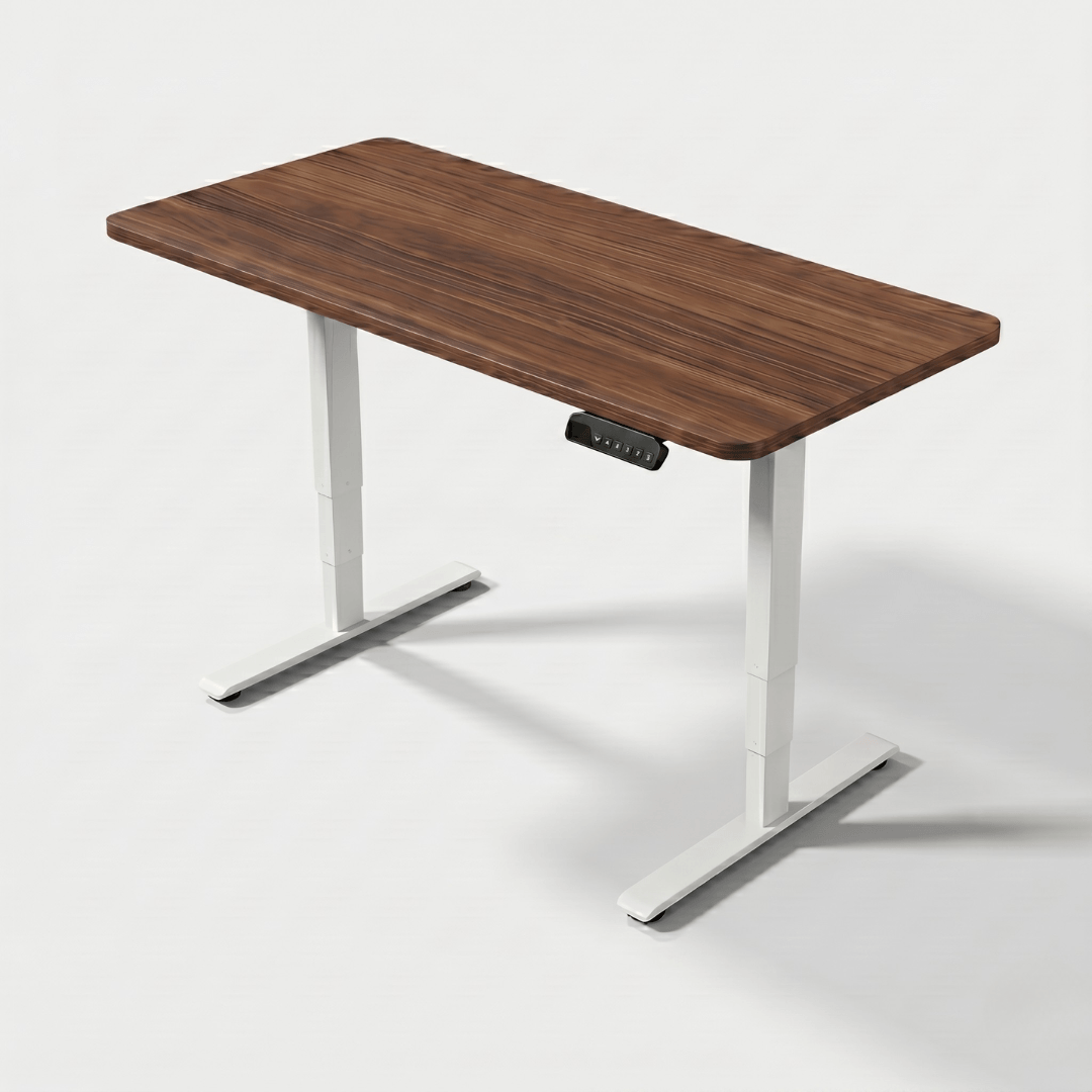 FlexiSpot E5 Lite - Dual Motor 3-Stage Standing Desk