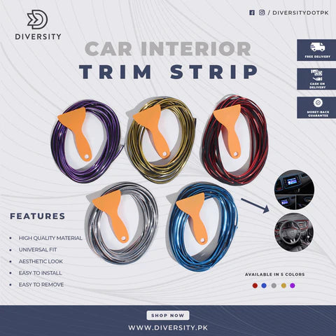 Car Interior Trim Strip