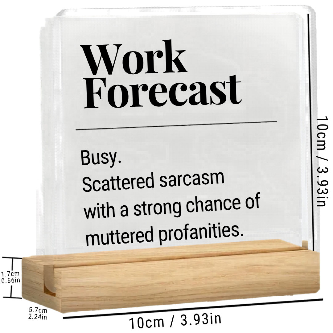 Funny Acrylic Office Desk Plaque