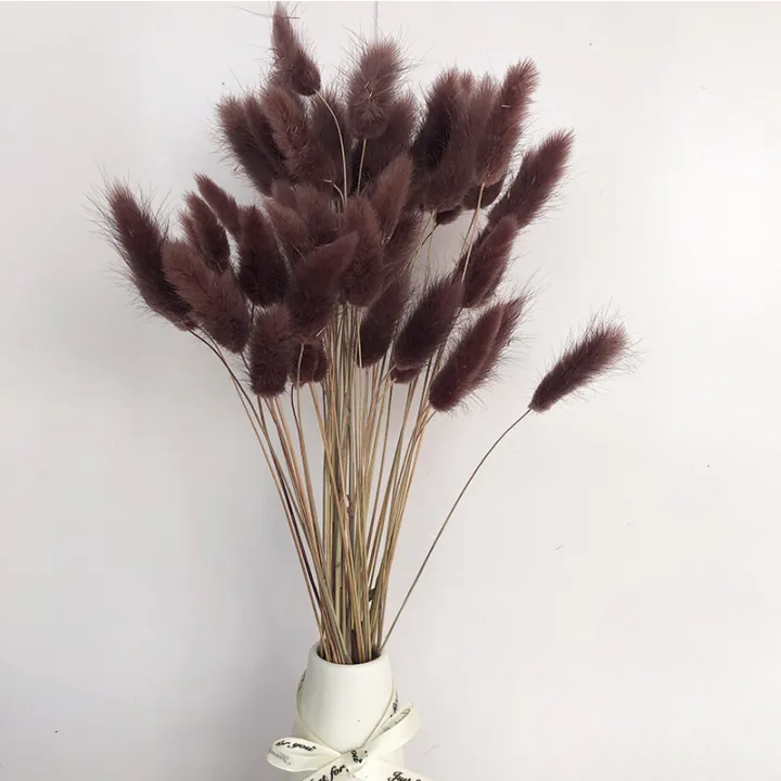 Natural Dried Fluffy Bunny Tails - SC 37