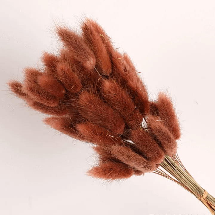 Natural Dried Fluffy Bunny Tails - SC36