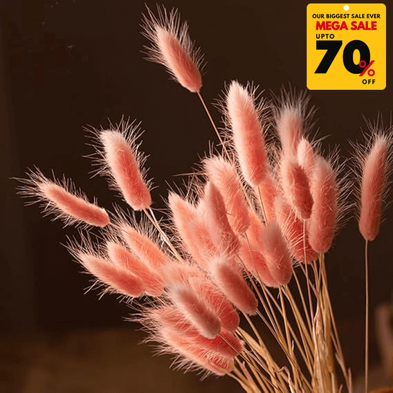 Natural Dried Fluffy Bunny Tails - SC 43