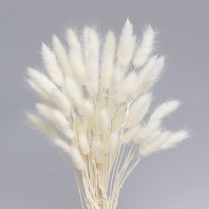 Natural Dried Fluffy Bunny Tails - SC 02