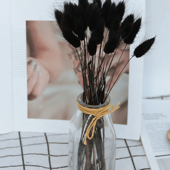 Natural Dried Fluffy Bunny Tails - SC Black