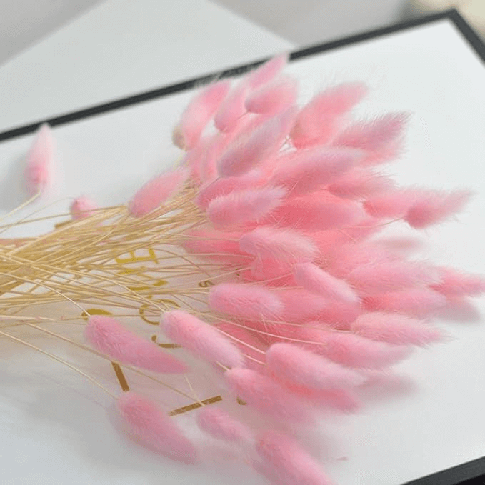 Natural Dried Fluffy Bunny Tails - SC 42