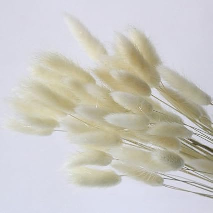 Natural Dried Fluffy Bunny Tails - SC 02