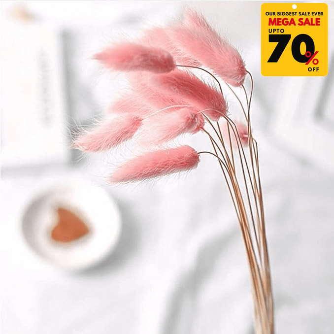 Natural Dried Fluffy Bunny Tails - SC 42