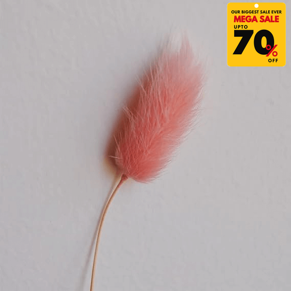 Natural Dried Fluffy Bunny Tails - SC 43