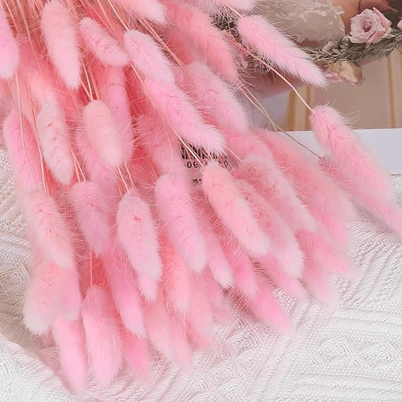 Natural Dried Fluffy Bunny Tails - SC 42