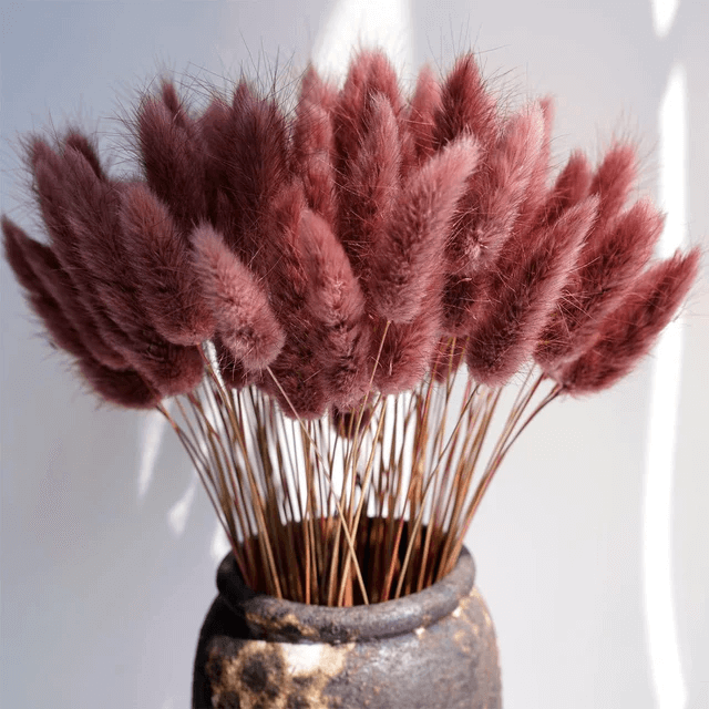 Natural Dried Fluffy Bunny Tails - SC32