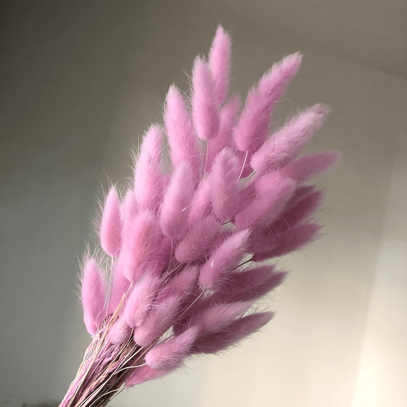 Natural Dried Fluffy Bunny Tails - SC 44