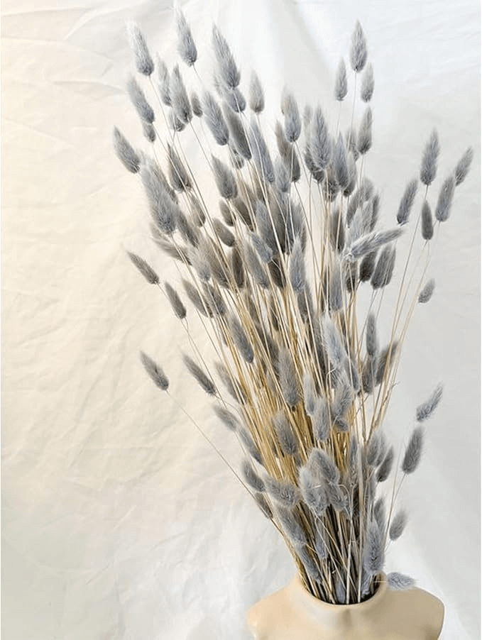 Natural Dried Fluffy Bunny Tails - SC 56