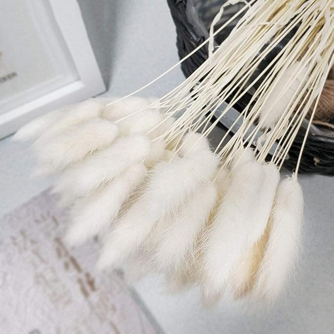 Natural Dried Fluffy Bunny Tails - SC 02