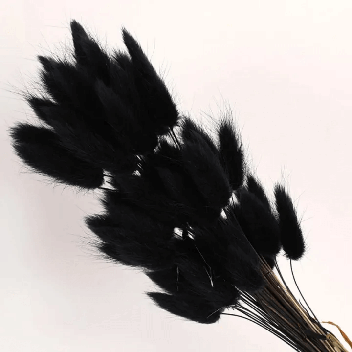 Natural Dried Fluffy Bunny Tails - SC Black