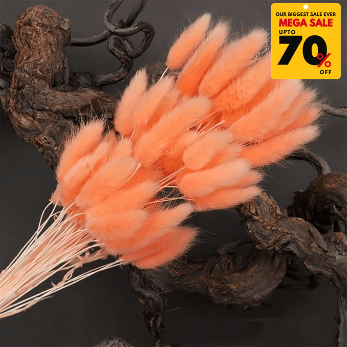 Natural Dried Fluffy Bunny Tails - SC 27