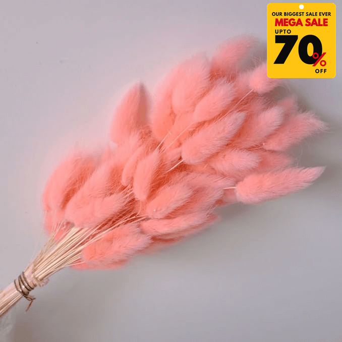 Natural Dried Fluffy Bunny Tails - SC 43