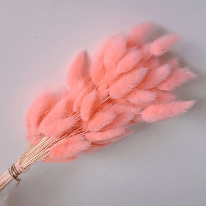 Natural Dried Fluffy Bunny Tails - SC 43