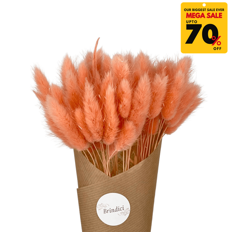 Natural Dried Fluffy Bunny Tails - SC 27