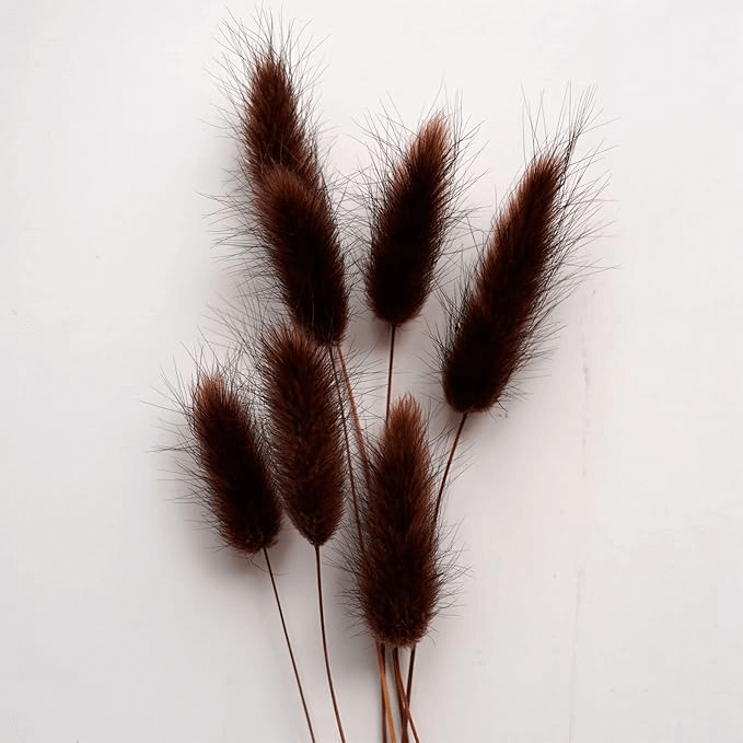 Natural Dried Fluffy Bunny Tails - SC 37