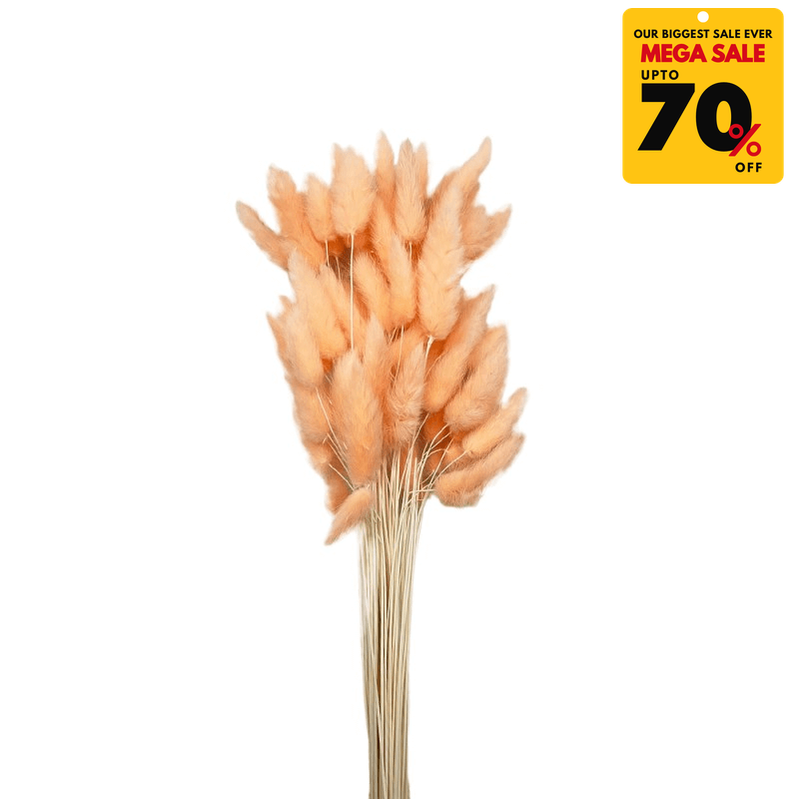 Natural Dried Fluffy Bunny Tails - SC 27